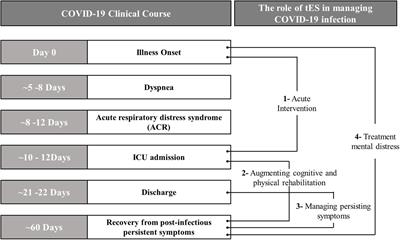 Update on the Use of Transcranial Electrical Brain Stimulation to Manage Acute and Chronic COVID-19 Symptoms